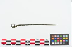 Foto von Bronzerollenkopfnadel (NHMW-PRAE-024883)